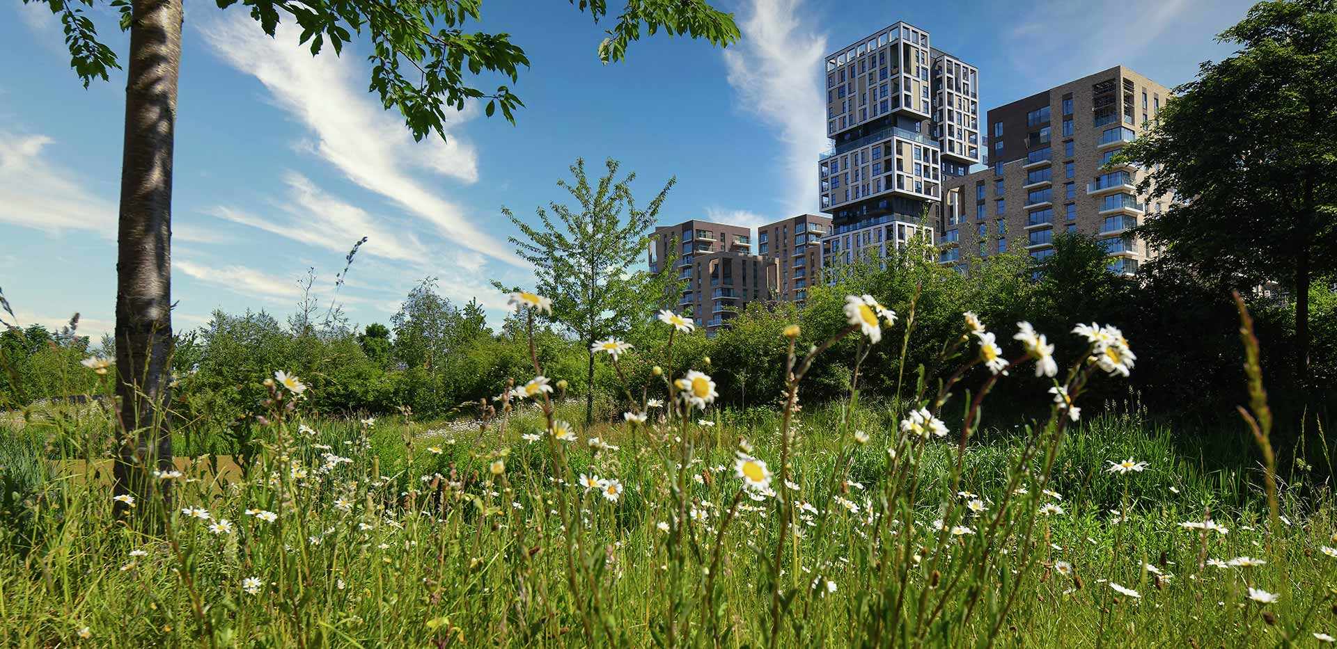 Berkeley, Kidbrooke Village, Parkland