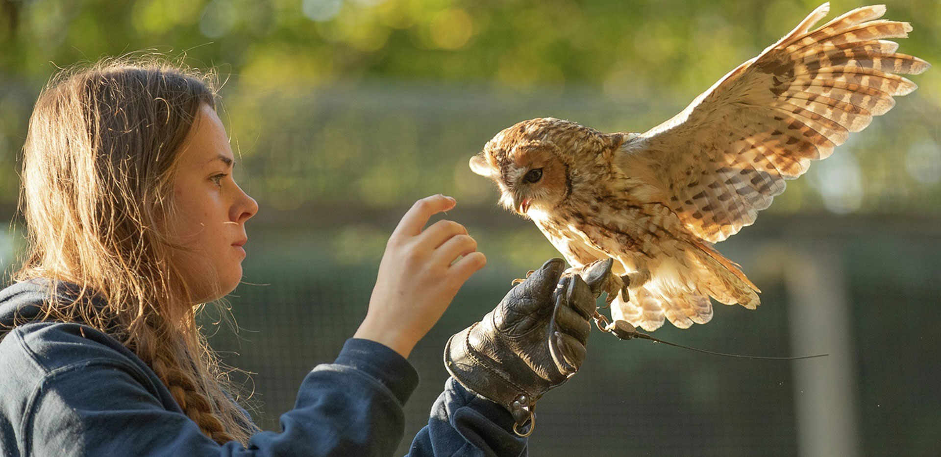 St William, Courtyard Gardens, Lifestyle