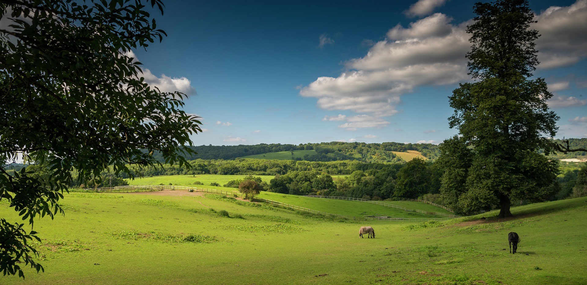 St William, Courtyard Gardens, Oxted Local Area