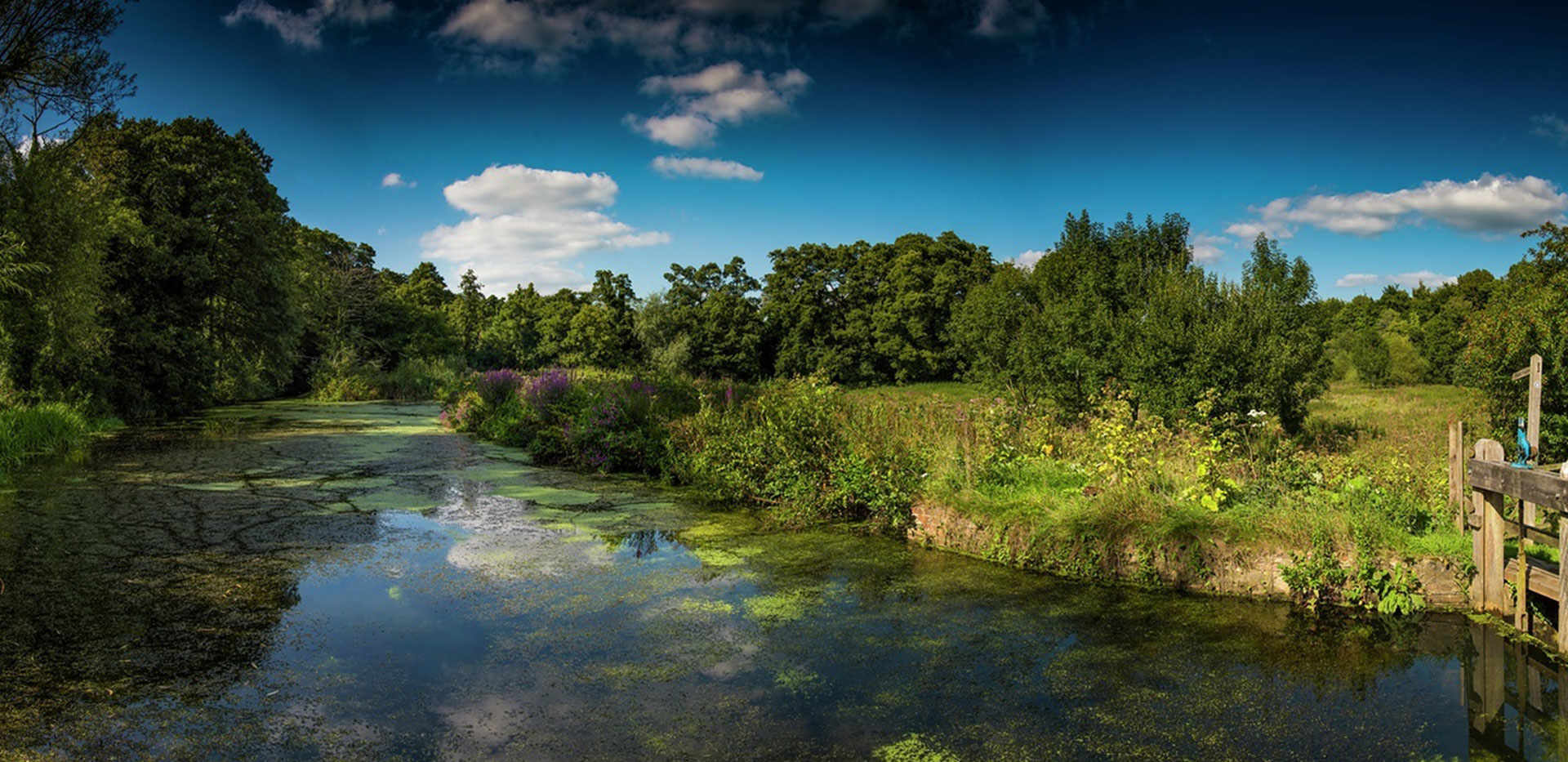 St William, Courtyard Gardens, Oxted Local Area