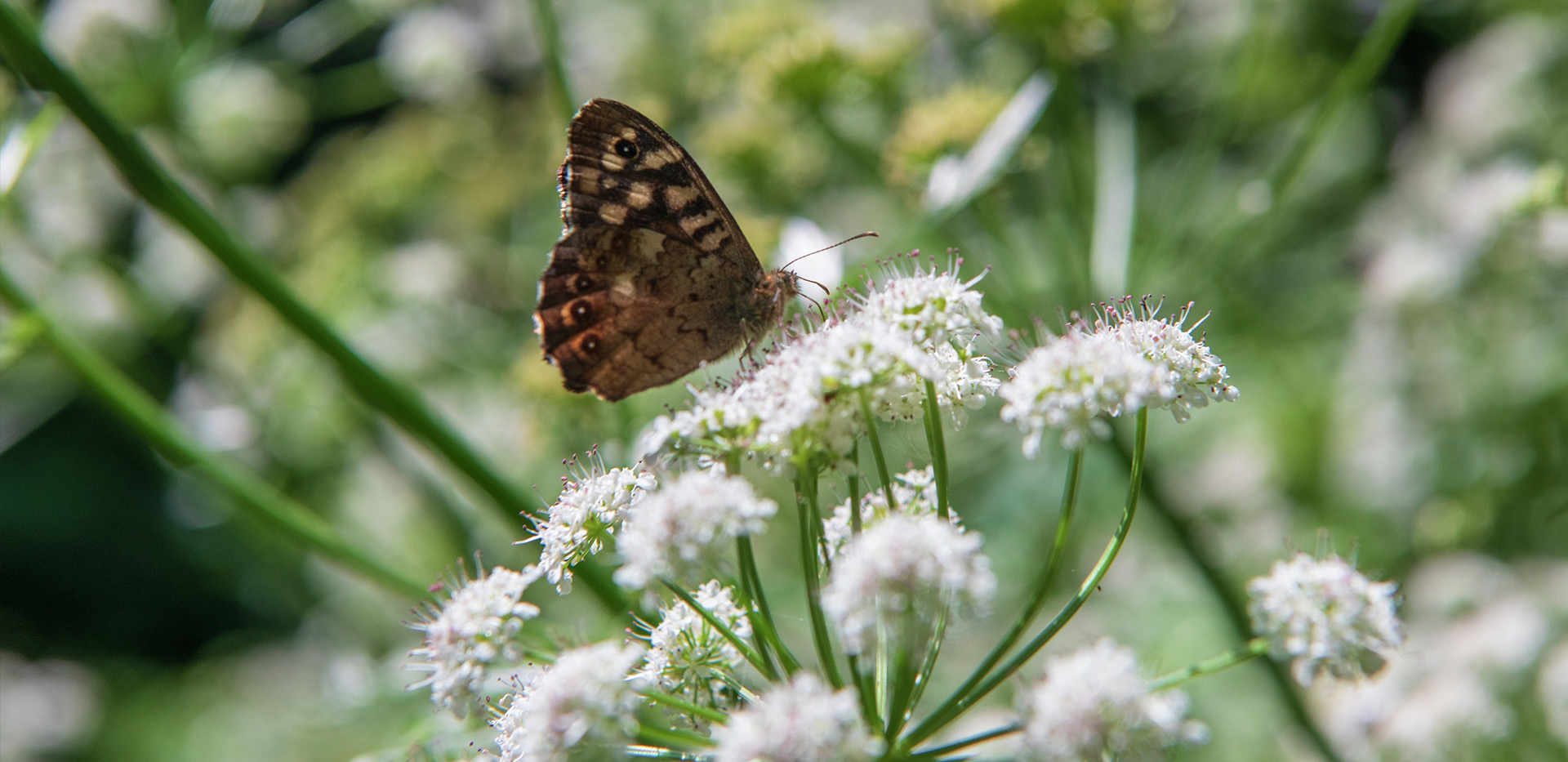 Berkeley, Quinton Court, Local Area