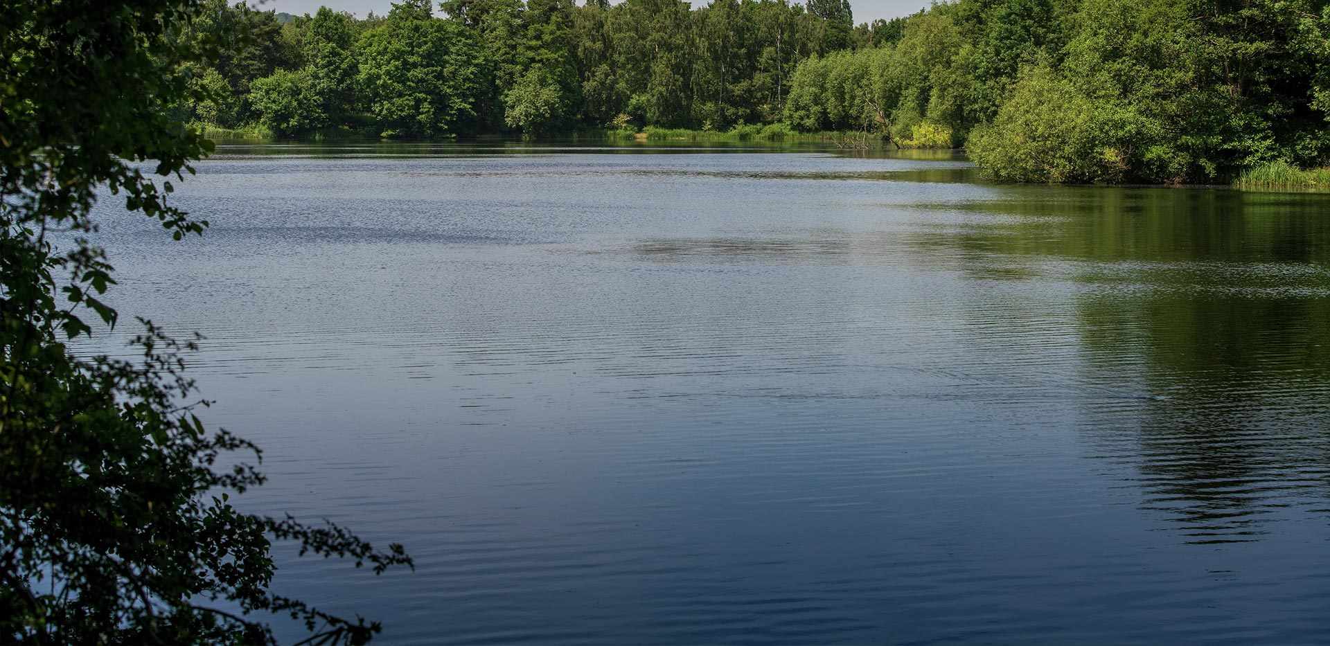 Berkeley, Quinton Court, Local Area