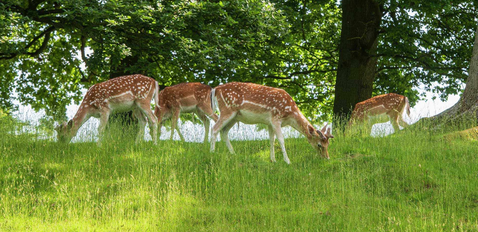 Berkeley, Quinton Court, Local Area