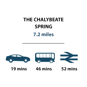 The Chalybeate Spring