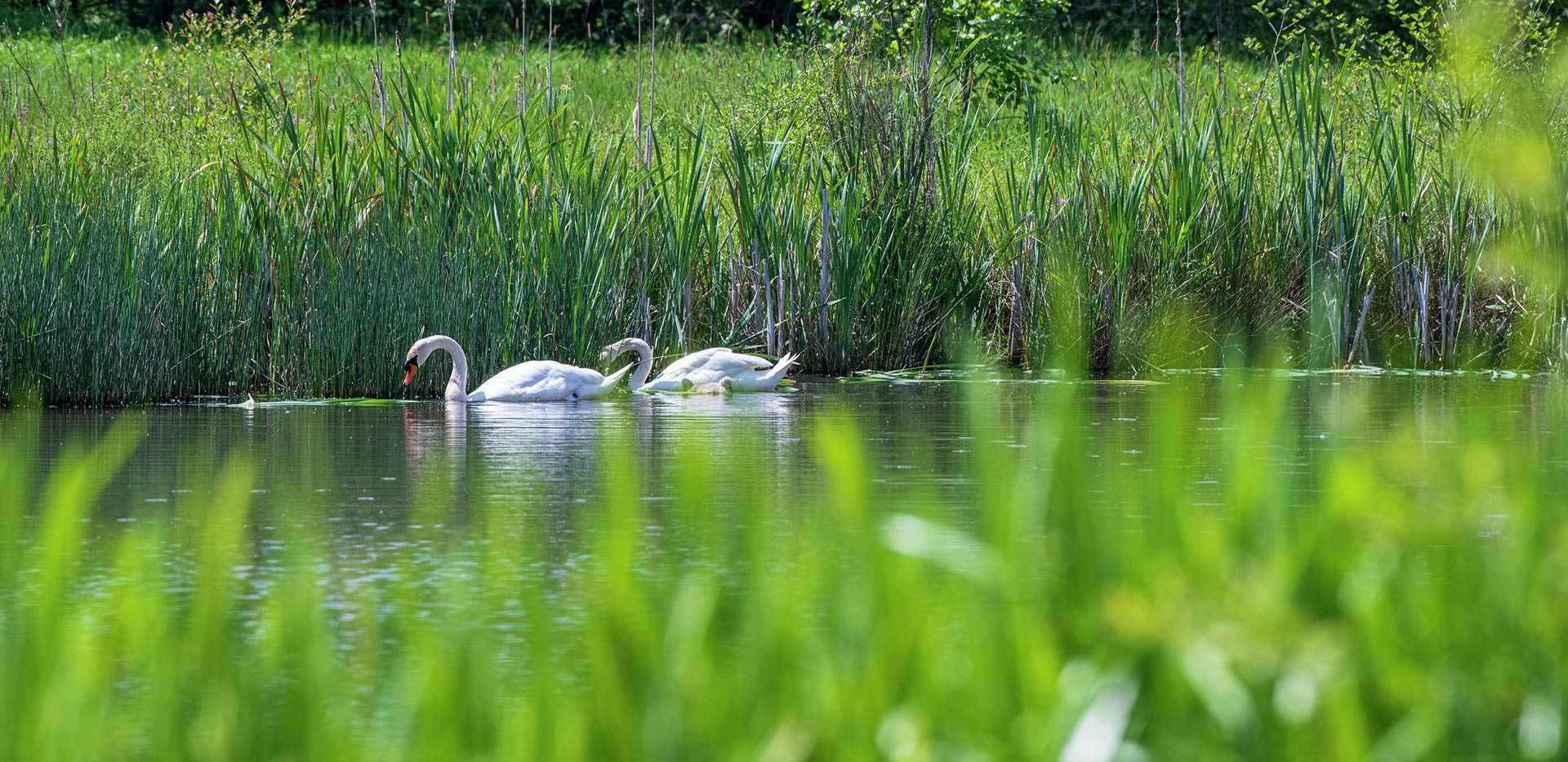 Berkeley, Hareshill, Country Park