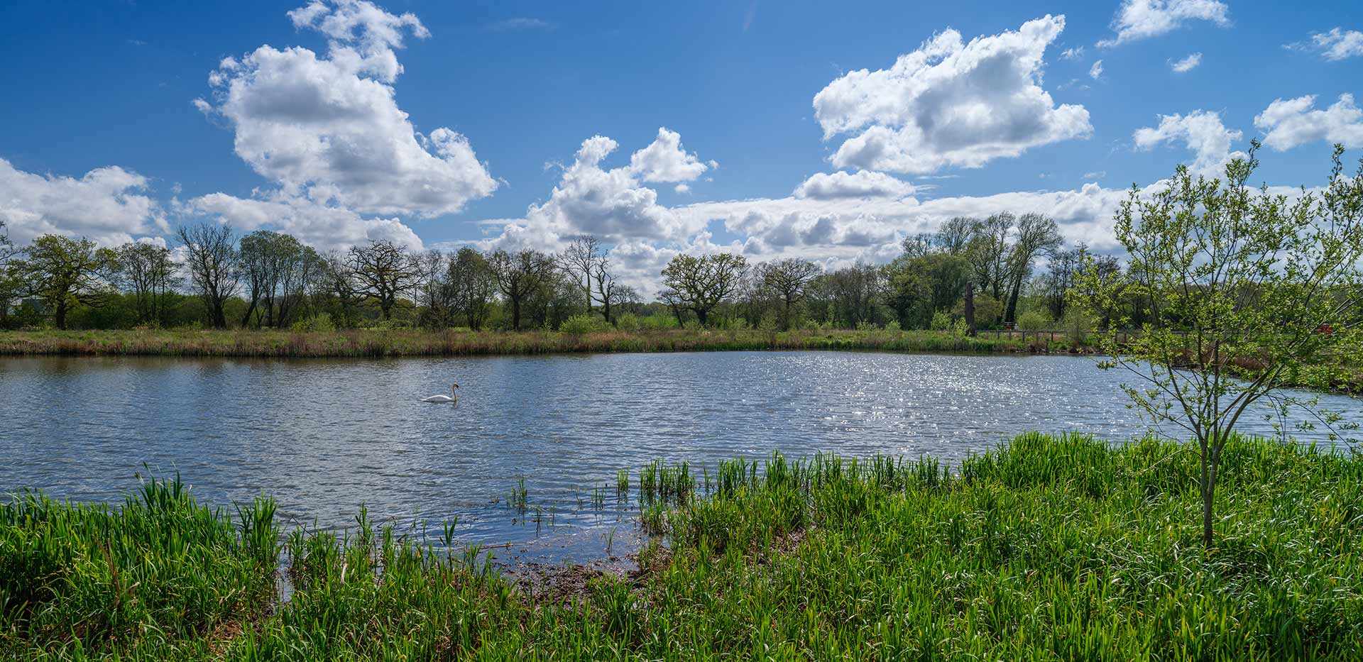 Berkeley, Edenbrook Village, Country Park