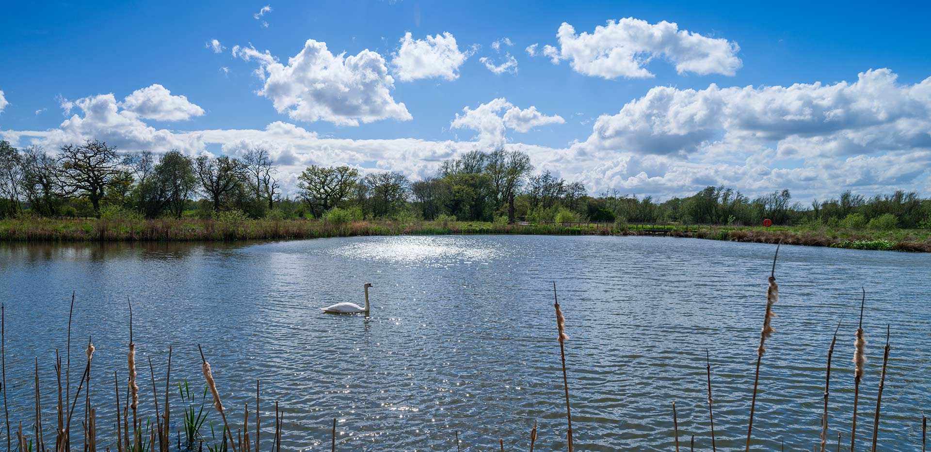 Berkeley, Edenbrook Village, Country Park