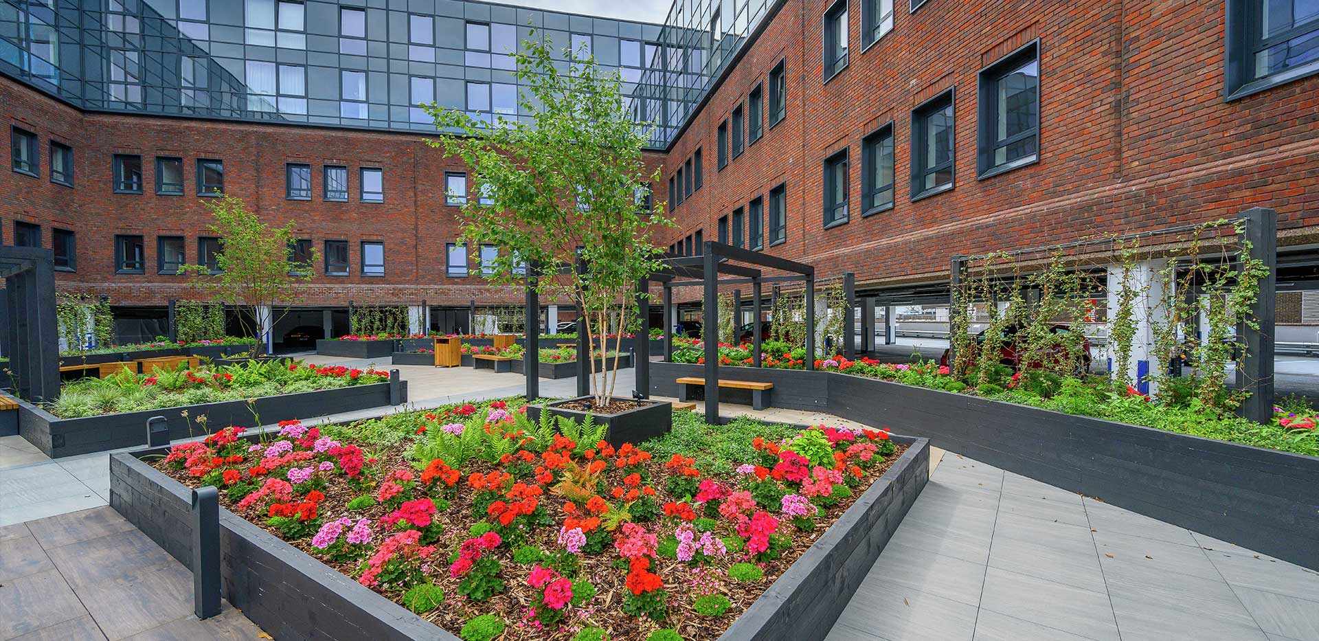 Berkeley, Lumina, Exterior