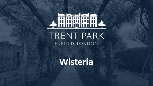 Berkeley, Trent Park, King George Collection