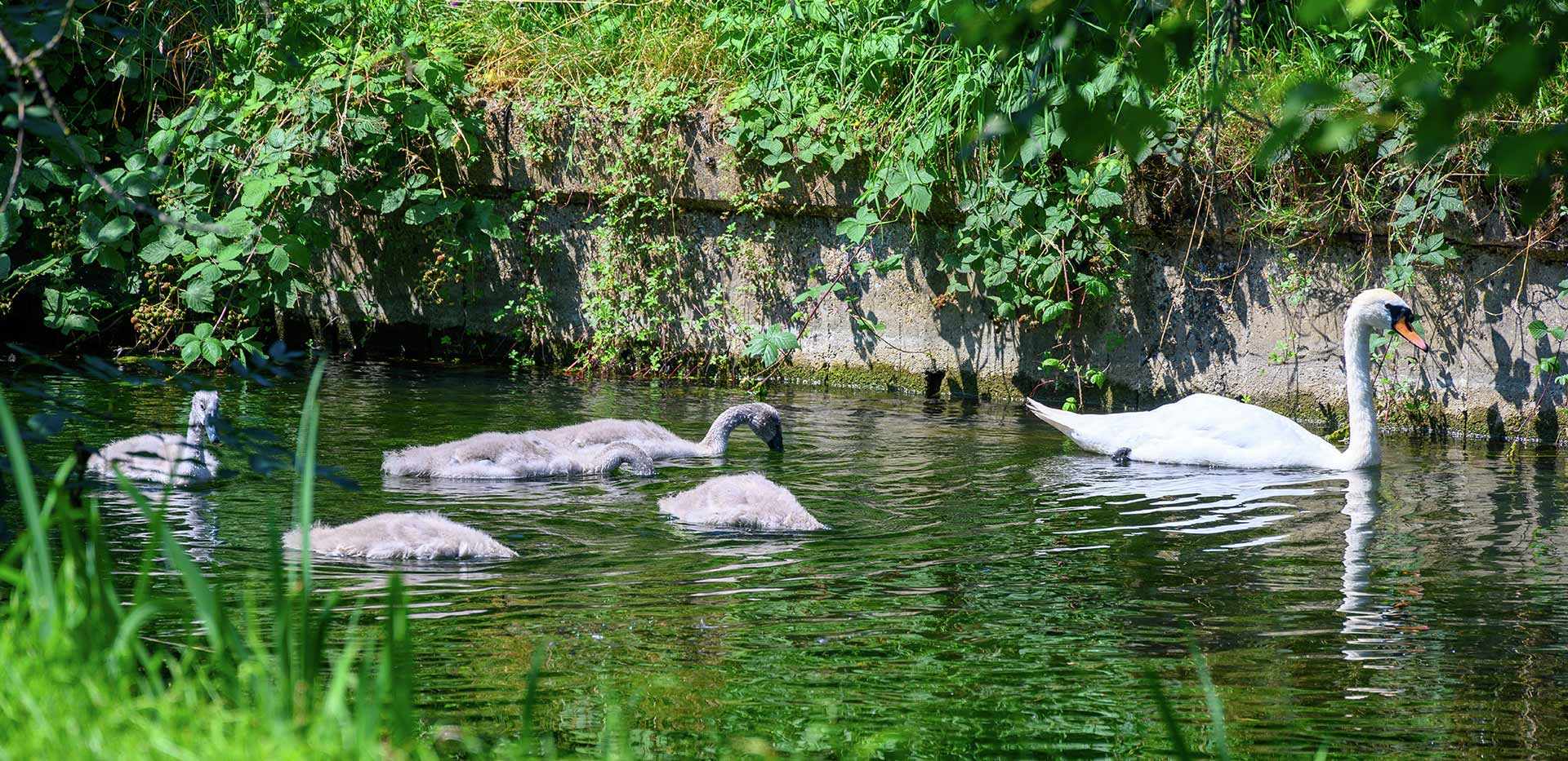 Berkeley, Woodberry Down, Local Area