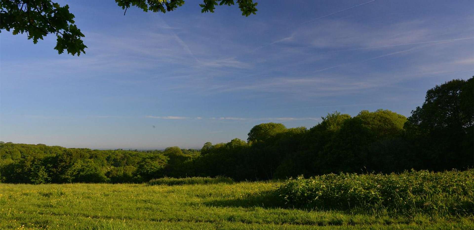 Berkeley, Sandlands Park, Local Landscape, Local Area
