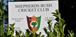 Berkeley, Napier Square, Shepherds Bush Cricket Club, Local Area