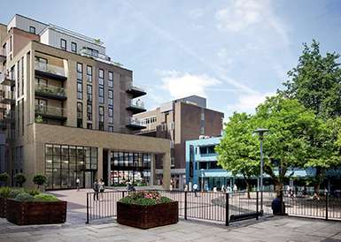 Berkeley, Orphington on up