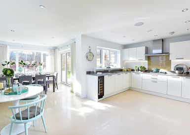 Luxury New Berkeley Show Homes