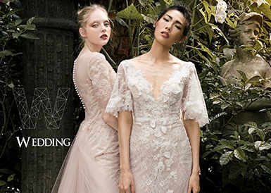 St George, Press Release, News brand arrive at beaufort park