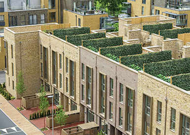 Berkeley, Berkeley Chairman, Press Release