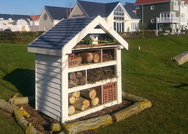 St Edward, Green Park Village, Bug Hotel Image