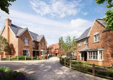 Hollyfields, Launch, Press release