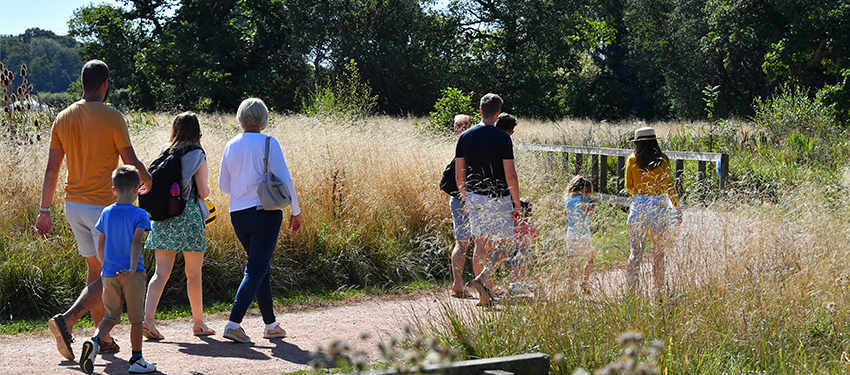 Hart Celebrates Header | Berkeley