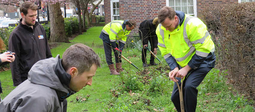 Community Garden takes shape in Oval | Berkeley