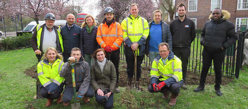 Community Garden takes shape in Oval | Berkeley