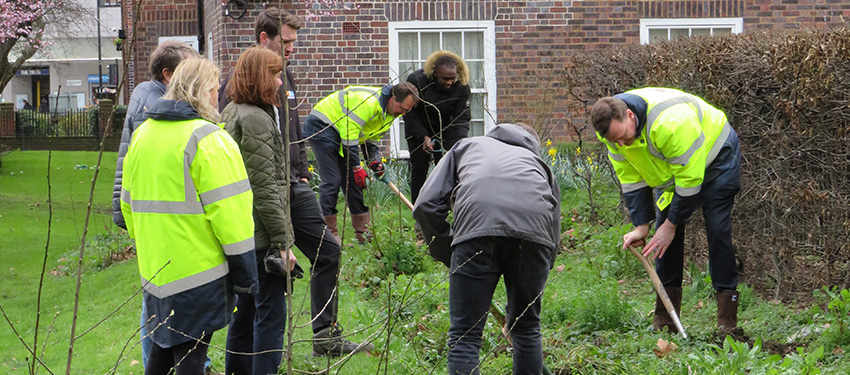 Community Garden takes shape in Oval | Berkeley