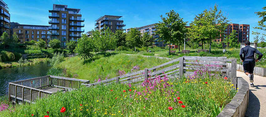 Nature Recovery Header