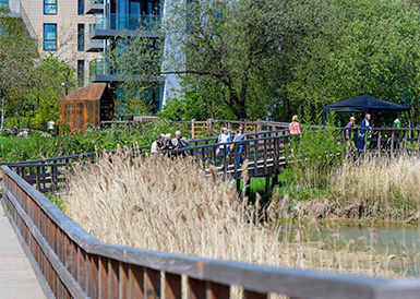 Hackney Council and Berkeley Homes Provide Emergency Funding for Woodberry Wetlands