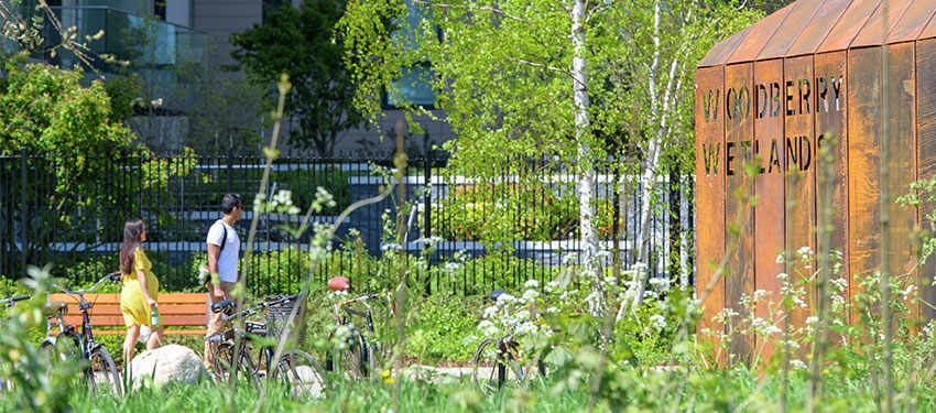 Woodberry Down Wetlands Header