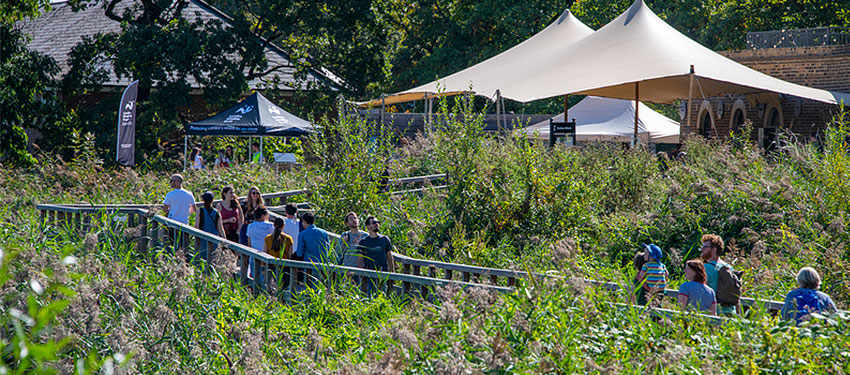 Woodberry Down Wetlands Header