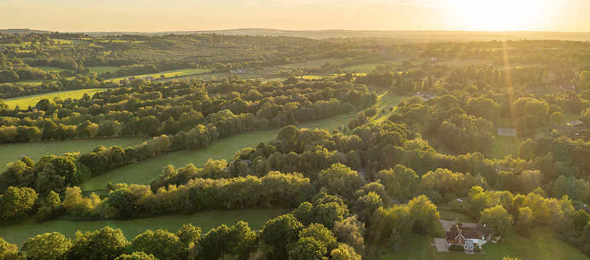 New Kent-based Podcast Header | Berkeley