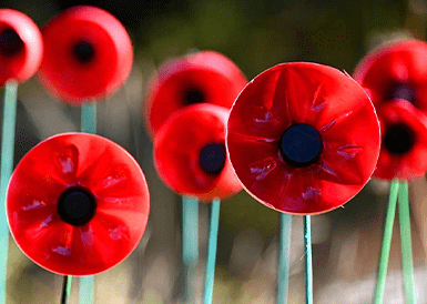 Children at Pennthorpe Preparatory School Honour the Fallen