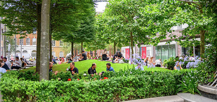 Award for biodiversity boost at Goodman’s Fields, Image 1 | Berkeley