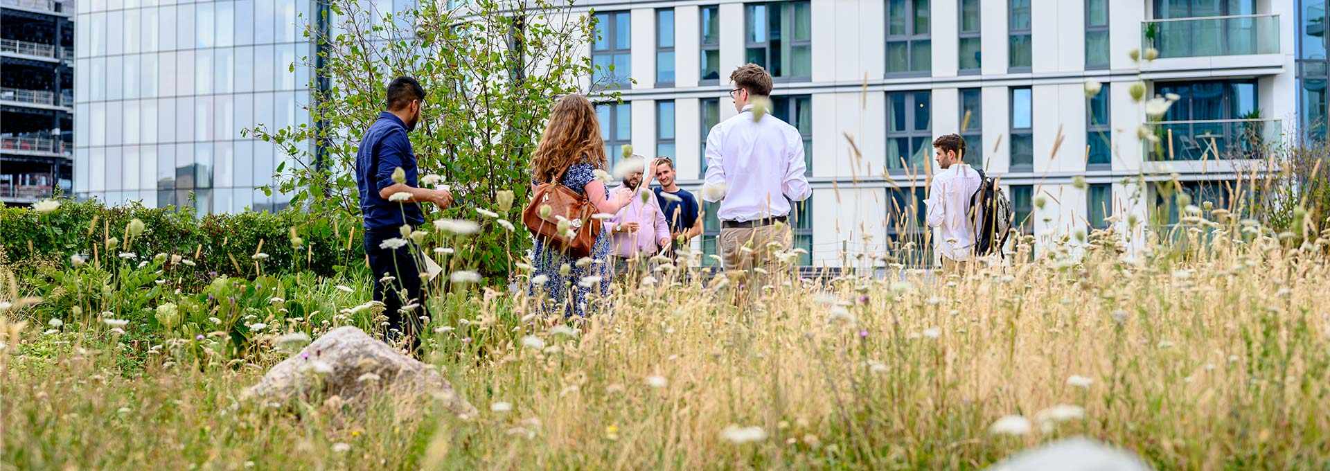 Award for biodiversity boost at Goodman’s Fields, Image 2 | Berkeley