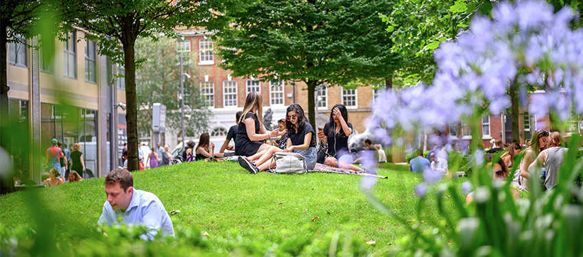 Award for biodiversity boost at Goodman’s Fields, Header| Berkeley