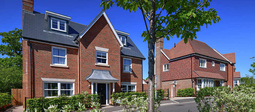 Berkeley hosts webinar to help buyers navigate market | Header