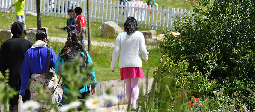 Kidbrooke Village Biodiversity Header | Berkeley Group