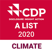 CDP logo