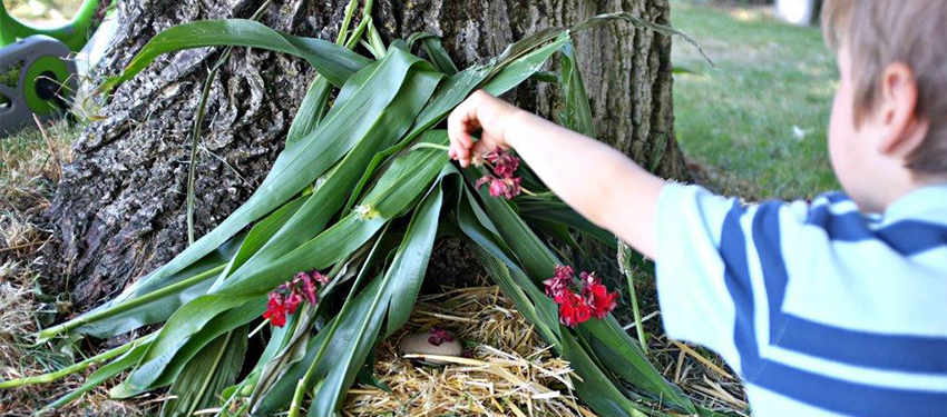 Berkeley, Bringing Nature Home, Episode 4, Header