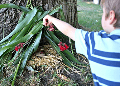 Get Crafty With Red Ted Art and Berkeley in the Latest Bringing Nature Home Podcast