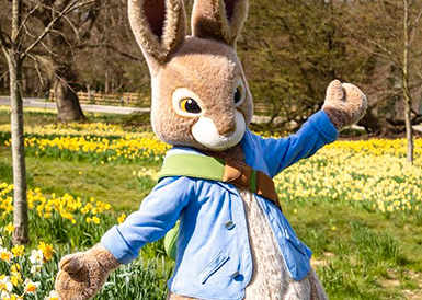 Peter Rabbit Visits Trent Park Residents