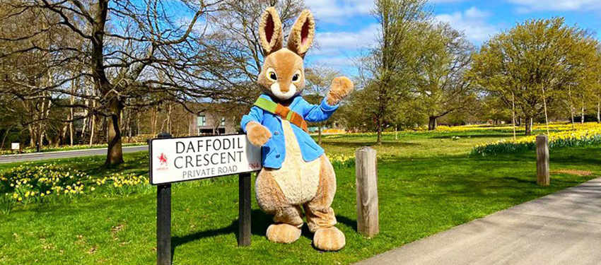 Peter Rabbit visits Trent Park residents | News & Insights