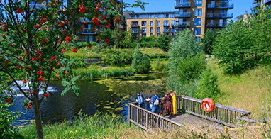 About Us, Sustainability Thumbnail