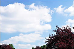 Climate Change Policy