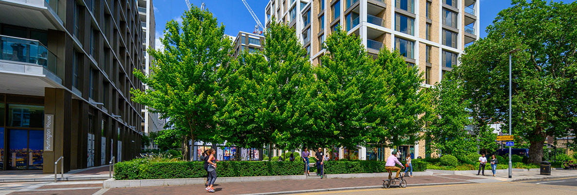 An image of a Berkeley Development