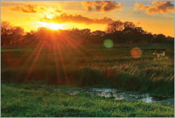 Sustainable Specification and Procurement Policy