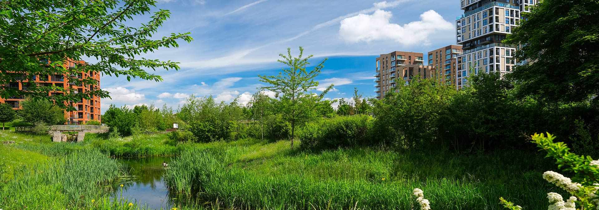 Debt Investors - Header