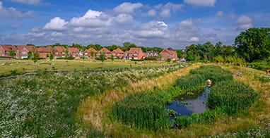 Image of a berkeley development that boasts green open space