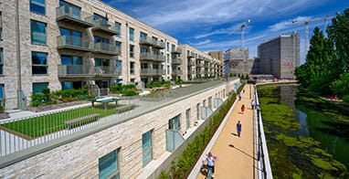 Investor Relations Contact