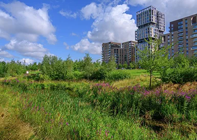 Thumbnail image of Investors Results